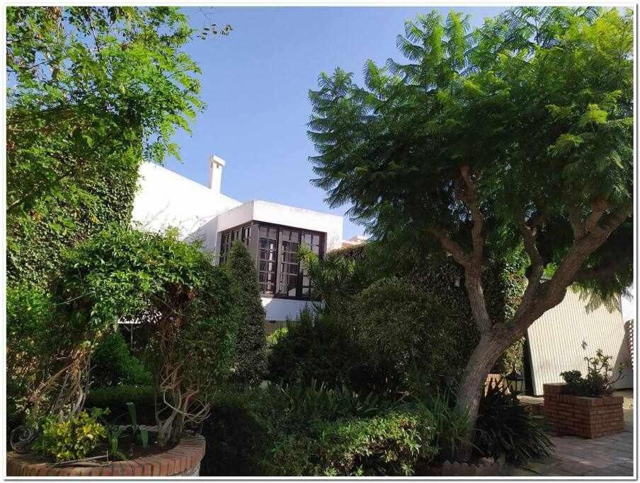 Cortijo Alberca Blanca Beach 토레 데 베나갈본 외부 사진